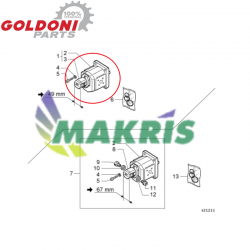 ΑΝΤΛΙΑ ΥΔΡΑΥΛΙΚΟΥ AP100/1,7 S.2P GOLDONI STAR 55/65/75/1546F/1846F/2446F SERIES 02030365